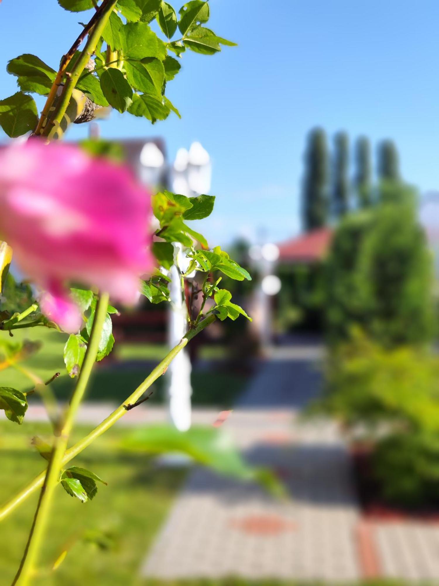 Havasi Üdülőház Gyenesdiás Exterior foto